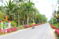 Tuyến đường giao thông của xã Trung Hiệp được trồng hoa, cây cảnh cảnh tạo cảnh quan sáng- xanh- sạch- đẹp cho vùng quê nông thôn. (Ảnh: TUYẾT NGA)