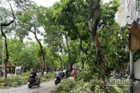 (Ảnh minh họa: THÙY LINH)