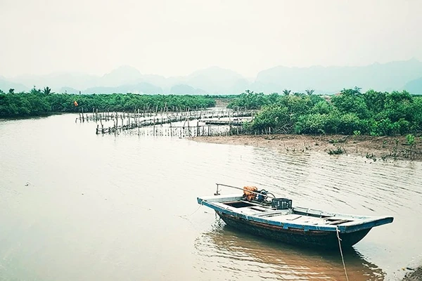 Ảnh: ANH QUÂN