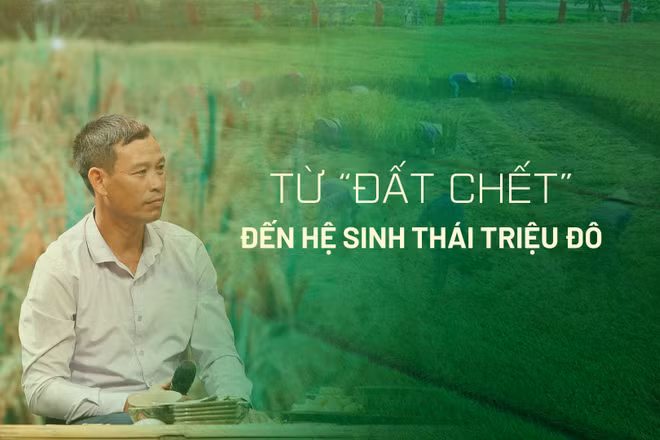 Từ “đất chết” đến hệ sinh thái triệu đô