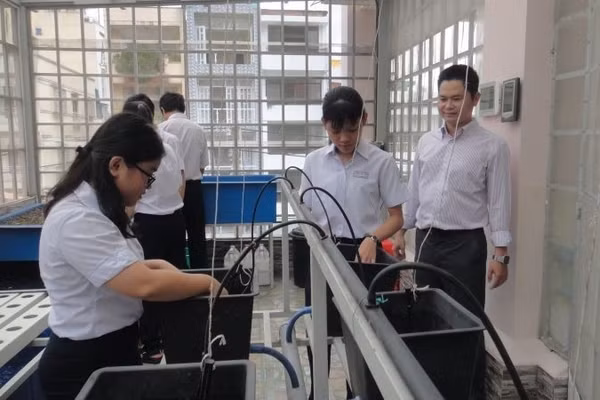 Nhiều trường học ở Thành phố Hồ Chí Minh tổ chức các hoạt động trải nghiệm cho học sinh trong giờ ra chơi.