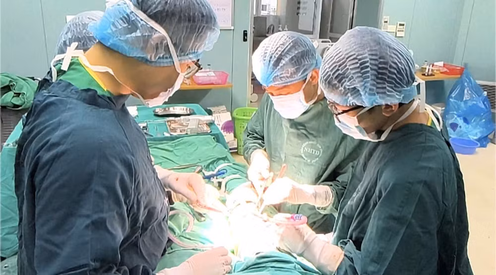 Bác sĩ phẫu thuật cho bệnh nhân.