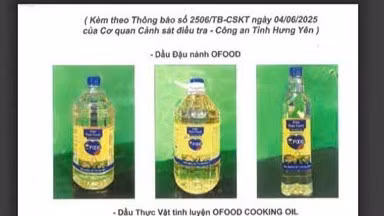 anh-6-6369.jpg