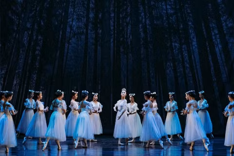 Một cảnh trong vở Giselle. (Ảnh: HBSO)