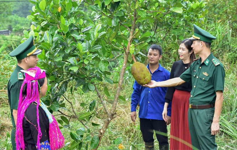 Cán bộ Đồn Biên phòng Bắc Sơn triển khai mô hình “Vườn kiểu mẫu” giúp dân phát triển kinh tế-xã hội. (Ảnh: Bộ đội Biên phòng tỉnh Quảng Ninh)