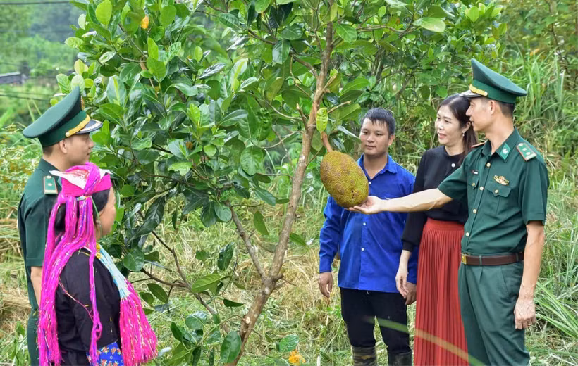 Cán bộ Đồn Biên phòng Bắc Sơn triển khai mô hình “Vườn kiểu mẫu” giúp dân phát triển kinh tế-xã hội. (Ảnh: Bộ đội Biên phòng tỉnh Quảng Ninh)