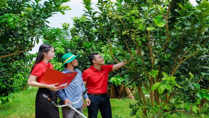 Phát triển kinh tế tư nhân là chủ trương lớn mang tính đột phá của Đảng và Nhà nước trong định hướng dài hạn về phát triển kinh tế đất nước.