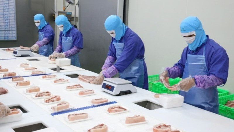 Dây chuyền pha lóc thịt lợn tại nhà máy giết mổ chế biến thịt của Công ty Cổ phần Chăn nuôi C.P Việt Nam ( KCN Phú Nghĩa, Hà Nội).