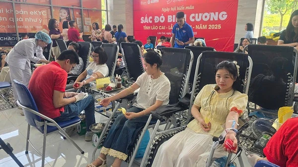 Các tình nguyện viên tham gia hiến máu.