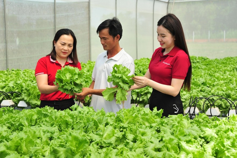 Nguồn vốn Agribank giúp hiện thực hóa ước mơ làm giàu của người nông dân trên chính mảnh đất quê hương. phan14880.jpg