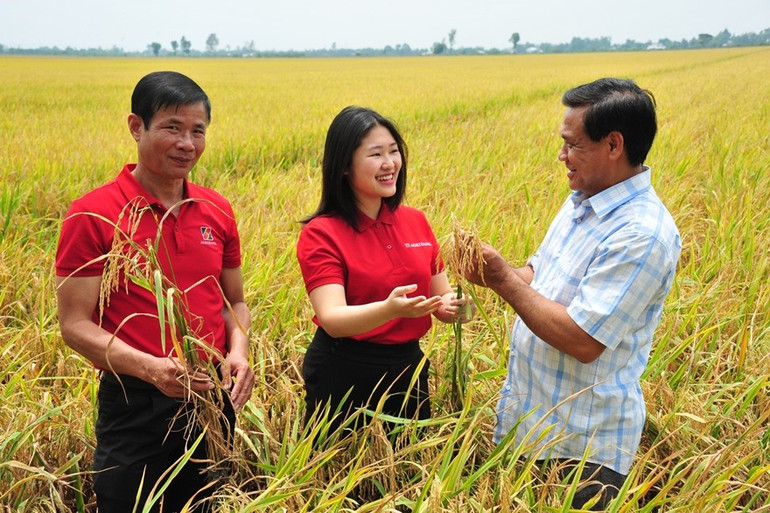 Đề án “Phát triển bền vững 1 triệu hecta chuyên canh lúa chất lượng cao và phát thải thấp gắn với tăng trưởng xanh vùng đồng bằng sông Cửu Long đến năm 2030” đã cho những trái ngọt đầu tiên. phan12880.jpg