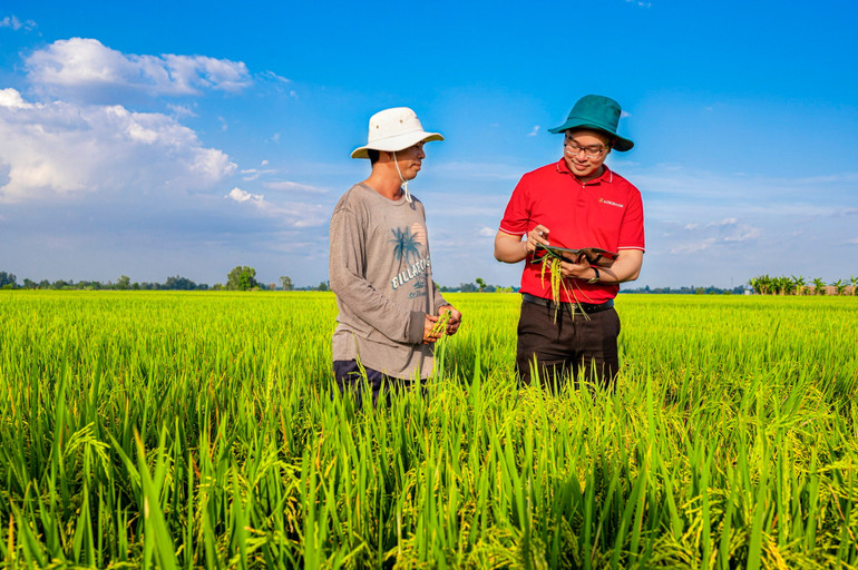 Nguồn vốn Agribank góp phần làm thay đổi diện mạo nông nghiệp Việt Nam. ho-tro-nong-nghiep.jpg