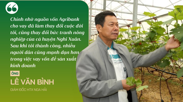 Ông Lê Văn Bình, Giám đốc Hợp tác xã Nga Hải htx-nga-hai.jpg