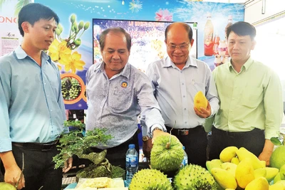 Người dân thành phố tham quan và mua sắm tại Hội chợ xúc tiến thương mại quận Bình Tân. Ảnh: XUÂN PHÚ