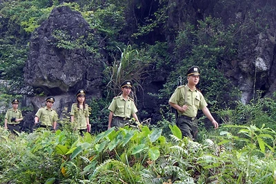 Cán bộ Kiểm lâm tỉnh Ninh Bình tuần tra, kiểm soát bảo vệ rừng tại Khu Bảo tồn Thiên nhiên đất ngập nước Vân Long. Ảnh: TRẦN HUYỀN