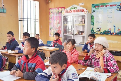 Tủ sách phụ huynh được đặt trong các lớp học của Trường tiểu học Thụy Phong.