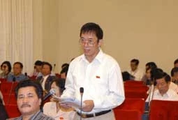 Đại biểu Quốc hội tỉnh Khánh Hòa<br>Mai Anh phát biểu ý kiến.