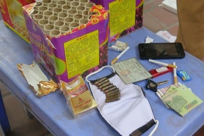 Tang vật pháo và đạn súng quân dụng bị thu giữ.