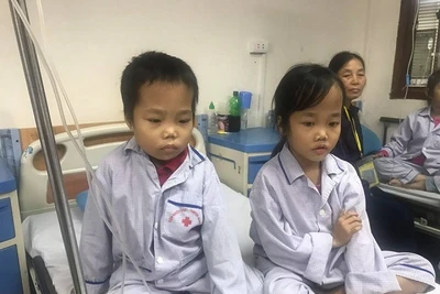 Những bệnh nhi mắc bệnh thalassemia phải truyền máu, thải sắt hằng tháng. 