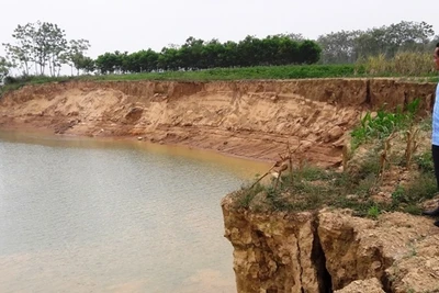 Cán bộ xã Thiệu Đô lo lắng trước tình trạng lở bãi bồi.