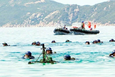 Huấn luyện bơi ở Lữ đoàn Hải quân đánh bộ 101. Ảnh: KHUÊ KHÁNH