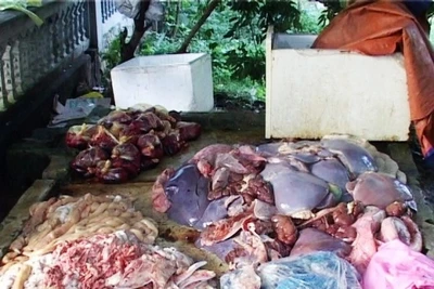 Số nội tạng trâu bò phát hiện tại nhà ông Đỗ Văn Tư.