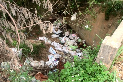 Nhiều bao tải buộc động vật chết bốc mùi hôi thối tại xã Ninh Lai, huyện Sơn Dương, tỉnh Tuyên Quang.