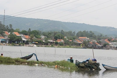 Cần xử lý dứt điểm những vi phạm tại đầm Ô Loan.