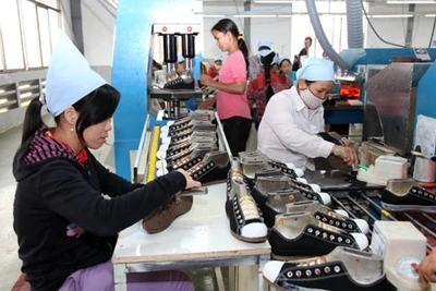 Sản xuất giày xuất khẩu ở KCN Khánh Phú( Yên Khánh- Ninh Bình)