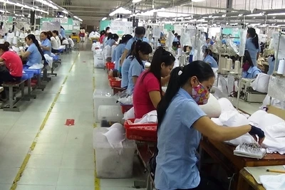 SCAVI nhận giải Top 500 doanh nghiệp lớn Việt Nam năm 2016