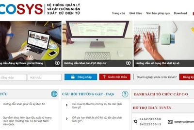 Việc cấp C/O qua internet giúp doanh nghiệp tiết kiệm tối đa thời gian và chi phí làm thủ tục.