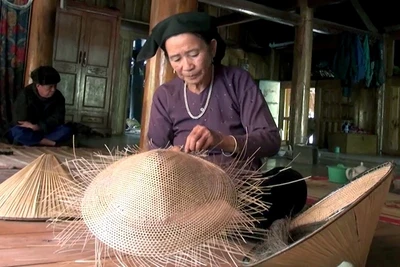 Nghề đan nón Tày đã trở thành một nét đẹp văn hóa truyền thống của người dân xã Tân An (huyện Chiêm Hóa).