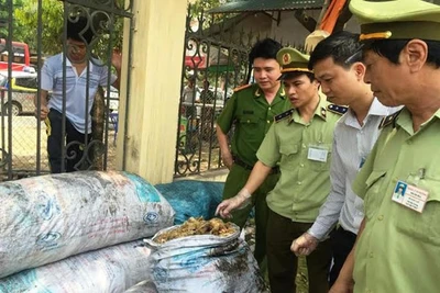 Lực lượng chức năng phát hiện thực phẩm bẩn chứa trong bao tải.