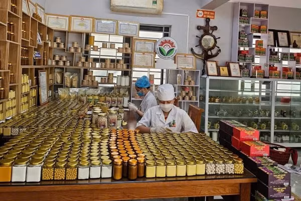 Đóng gói sản phẩm tại Hợp tác xã nông nghiệp Tân Thành. (Ảnh: TUẤN SƠN)