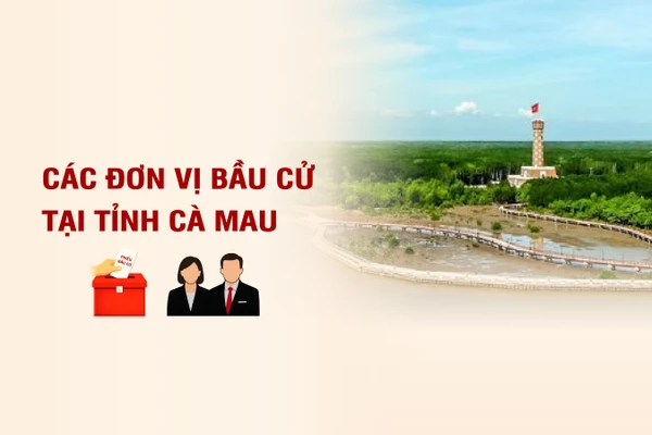 [Infographic] Các đơn vị bầu cử đại biểu Quốc hội tại tỉnh Cà Mau