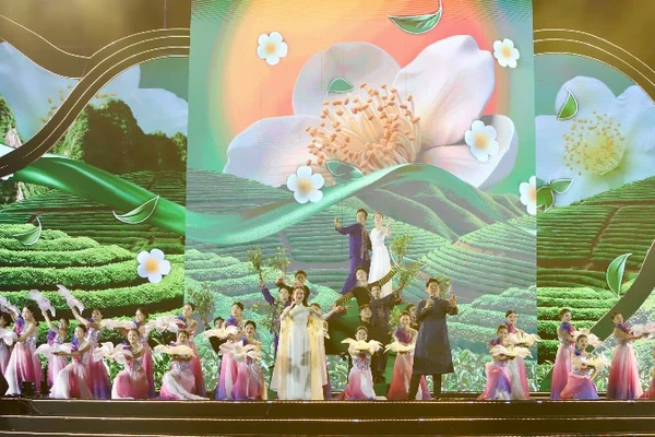 Trình diễn nghệ thuật tại lễ khai mạc. (Ảnh: TUẤN SƠN).