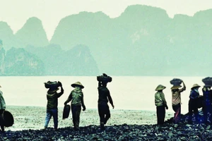 Công nhân vùng mỏ một thời khốn khó. 