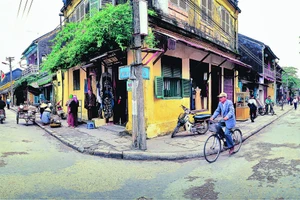 Ở Hội An: Làm sao giữ "con cá tiên"?