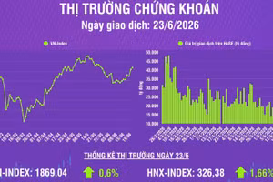 [Infographic] Chứng khoán ngày 23/6: VN-Index tăng 11,13 điểm, thanh khoản thị trường tăng mạnh