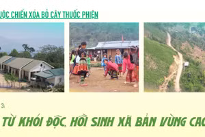 Cuộc chiến xóa bỏ cây thuốc phiện - Kỳ 3: Từ khói độc, hồi sinh xã, bản vùng cao