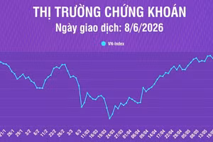 [Infographic] Chứng khoán ngày 8/6: VN-Index giảm mạnh 48,37 điểm về mức 1.790,53 điểm, dưới kháng cự tâm lý 1.800 điểm