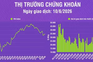 [Infographic] Chứng khoán ngày 10/6: VN-Index tăng 10,66 điểm, khối lượng giao dịch khớp lệnh tăng 8,3%