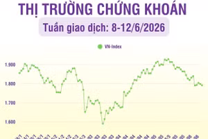 [Infographic] Thị trường chứng khoán tuần 8-12/6: Thị trường có tuần thứ tư liên tiếp giảm điểm, VN-Index về mức 1.791,65 điểm
