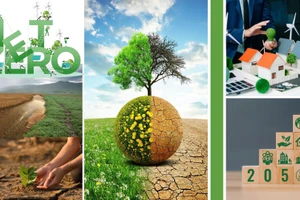 Việt Nam trên hành trình ứng phó biến đổi khí hậu toàn cầu: Từ trách nhiệm quốc tế tới hành động quốc gia