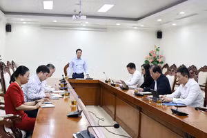 Phó Cục trưởng Mai Sơn phát biểu chỉ đạo tại cuộc họp về tình hình triển khai hoàn thiện Cổng trải nghiệm dành cho hộ kinh doanh. 