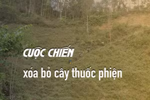 Những ngày trong rừng, thành viên Đoàn công tác 06 liên tục phải leo ngược dốc để lên trên cao quan sát khu vực nghi có tái trồng cây thuốc phiện.