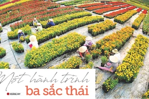Một hành trình ba sắc thái