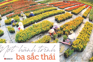 Một hành trình ba sắc thái