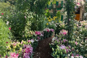 Không gian xanh với đa dạng thực vật luôn là hướng phát triển bền vững (Ảnh: Khánh Linh)