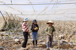Nhà báo Nguyễn Thị Lương (đứng giữa) tác nghiệp ở xã Ka Đô sau cơn bão số 13, tháng 11/2025.